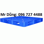 Palet nhựa , pallet kê hàng LH:096.727.4488