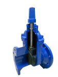 VAN CỔNG DUVALCO (gate valve)