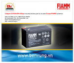 Ắc quy Fiamm công nghệ Italia, Ắc quy Fiamm 12FGH