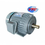 Motor VCT