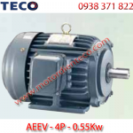 Motor TECO