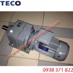 Motor Giảm Tốc TECO, Motor Giảm Tốc TECO Chân Đế