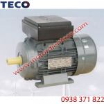 Motor TECO 1 Pha