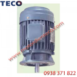 Motor TECO mặt bích