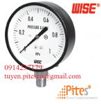 Đồng hồ áo suất WISE P110