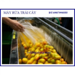 Máy rửa rau củ quả