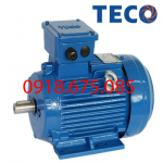 MOTOR TECO AESV