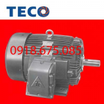 MOTOR PHÒNG CHỐNG CHÁY NỔ TECO AEEDXU