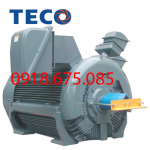 MOTOR TIẾT KIỆM ĐIÊN AEJE TECO