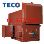 MOTOR TRUNG THẾ TECO