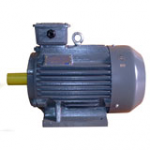 Motor chân đế Teco