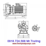 Bơm trục ngang TS50-32 SPCO