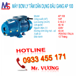 Máy bơm ly tâm dân dụng đầu gang AP100