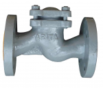 VALVE 1 CHIỀU CHỮ NGÃ - ARITA