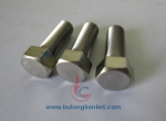 BULONG ỐC VÍT INOX 201, 304, 316