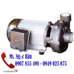 Bơm hút giếng sâu Tân Hoàn Cầu Super Win SP-1100