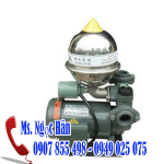 Máy bơm bánh răng tăng áp đầu gang NTP 1/4 HP hàng Đài Loan