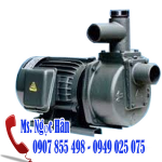 Máy bơm tự hút đầu Gang NTP HSP250-1.75 26