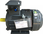 MOTOR TECO IE1