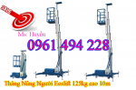 Thang nâng đơn 125kg, nâng cao 10m, thang nâng nhập khẩu giá tốt