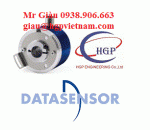 Cảm biến Datasensor