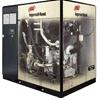 Máy nén khí trục vít dòng Oilless Air Compressor ( 5,5 - 25 HP)(4 - 20Kw)