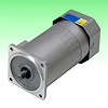 AC, DC Motor loại nhỏ