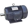 AEEF loạt ba giai đoạn induction motor