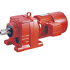 Motor - hộp giảm tốc