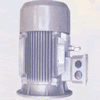 Motor mặt bích