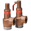 Safety Relief Valve