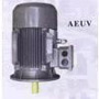 MOTOR TECO 3 PHA AEUV 