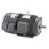 INVERTER DUTY MOTOR