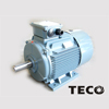 MOTOR TECO -AEEV