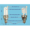 Bóng đèn ozon diệt khuẩn khử mùi