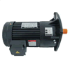 Motor giảm tốc