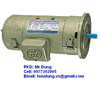 MOTOR ĐIỆN 1 CHIỀU, ĐỘNG CƠ ĐIỆN DC MẶT BÍT, LH0977302905