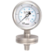 Bottom Flange with Diaphragm Pressure Gauges