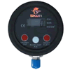 Digital Pressure Gauges