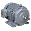 Motor ruột quấn cầu trục