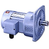 motor giảm tốc