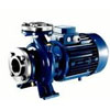 Máy bơm nước CS waterpumps – Italia